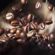 Kreativ Workshop, Malen mit Kaffee