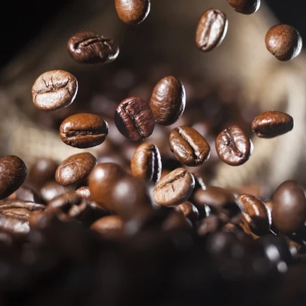 Kreativ Workshop, Malen mit Kaffee
