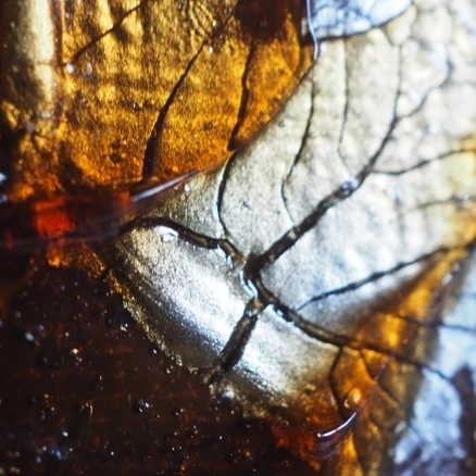 Makroaufnahme, Malen mit Kaffee