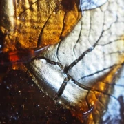 Makroaufnahme, Malen mit Kaffee