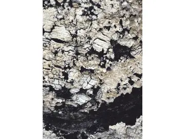 Bituminös – Kesselfieber