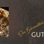 Gutschein Worksshop Malen mit Kaffee