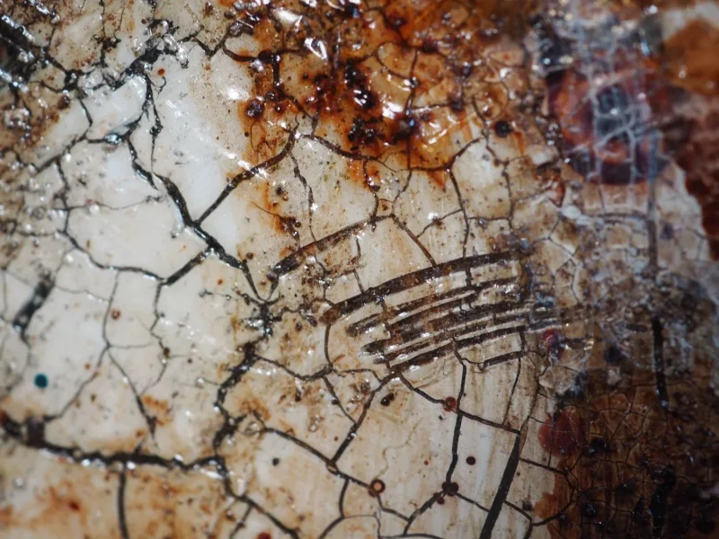 Kaffeekunst Wabenkarton – Ein Schluck Stille