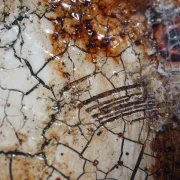 Kaffeekunst Wabenkarton – Ein Schluck Stille