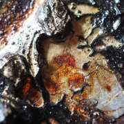 Kaffeekunst Massivholzrahmen – Siebträger-Design Weiß