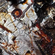 Kaffeekunst Massivholzrahmen – Anthrazit