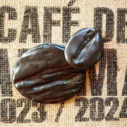 Kreativ Workshop, Malen mit Kaffee