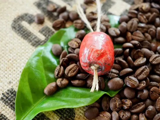 Rote, handgetöpferte Raku Kaffeebohne