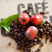 Rote, handgetöpferte Raku Kaffeebohne