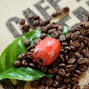 Rote, handgetöpferte Raku Kaffeebohne